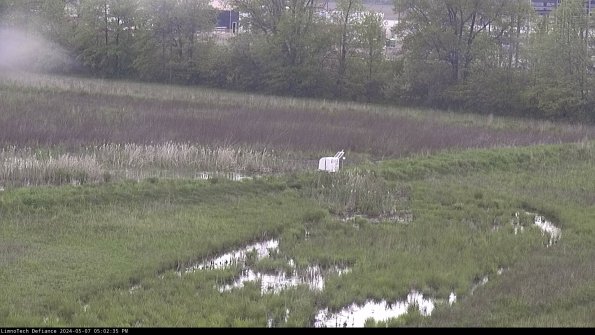 Cell 2 to 3_24-05-07_17-02-35-46