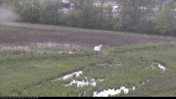 Cell 2 to 3_24-05-07_17-36-05-44