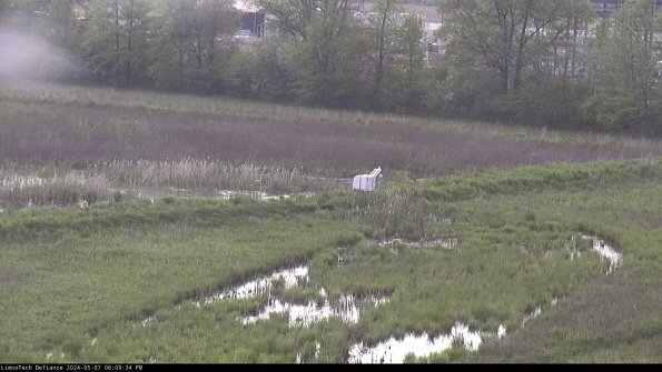 Cell 2 to 3_24-05-07_18-09-35-39