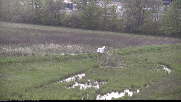 Cell 2 to 3_24-05-07_19-16-32-47