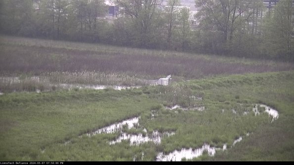 Cell 2 to 3_24-05-07_19-50-01-36