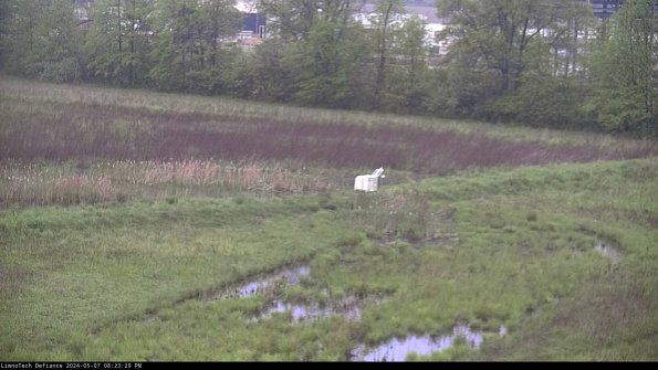 Cell 2 to 3_24-05-07_20-23-29-50