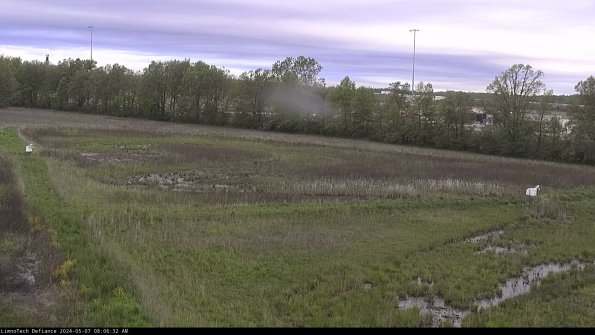 Cell 2_24-05-07_08-06-33-35