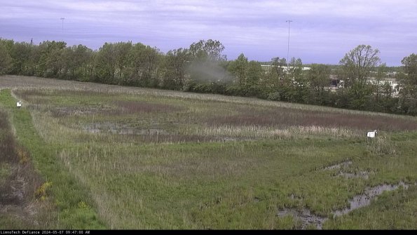 Cell 2_24-05-07_09-47-01-41