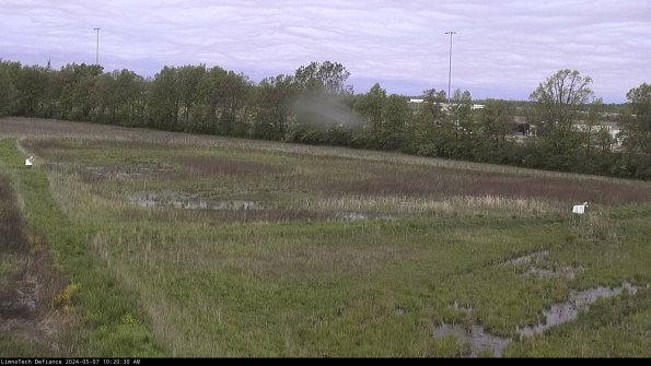 Cell 2_24-05-07_10-20-31-36