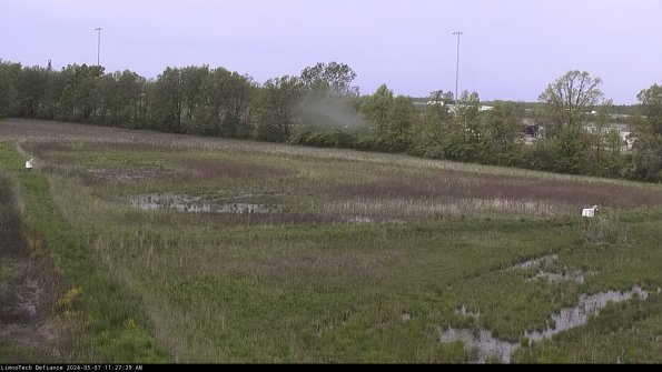 Cell 2_24-05-07_11-27-30-33