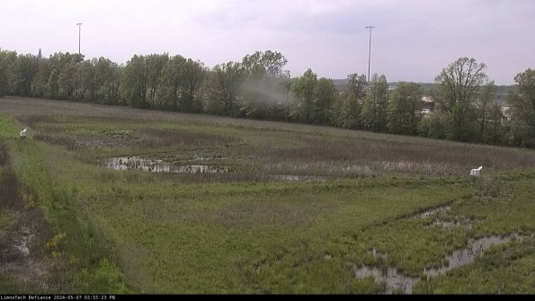 Cell 2_24-05-07_15-55-24-33