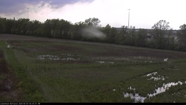 Cell 2_24-05-07_17-35-52-33