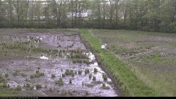 Cell 3 to 4_24-05-07_07-33-46-32