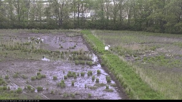 Cell 3 to 4_24-05-07_08-07-14-33