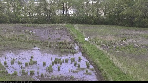 Cell 3 to 4_24-05-07_10-54-42-31