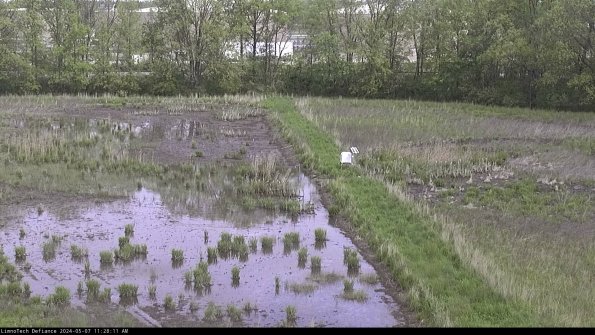 Cell 3 to 4_24-05-07_11-28-12-31