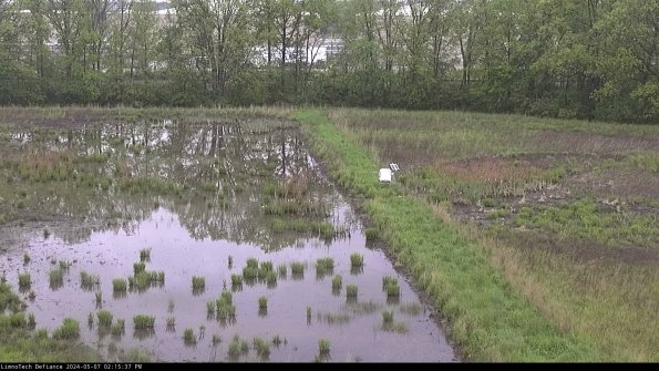 Cell 3 to 4_24-05-07_14-15-38-35