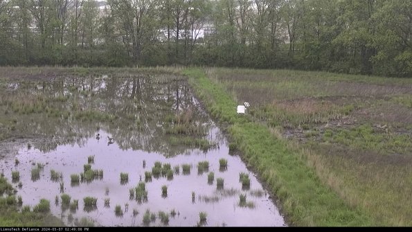 Cell 3 to 4_24-05-07_14-49-07-33