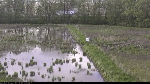 Cell 3 to 4_24-05-07_18-10-03-32