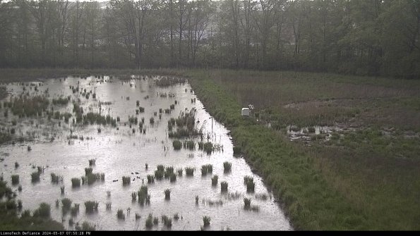 Cell 3 to 4_24-05-07_19-50-29-32