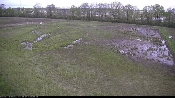 Cell 3_24-05-07_07-00-02-31