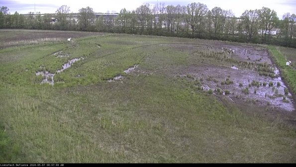 Cell 3_24-05-07_08-07-00-58