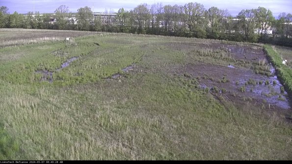 Cell 3_24-05-07_08-40-29-33