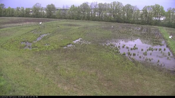 Cell 3_24-05-07_13-41-55-31