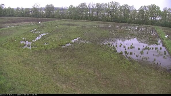 Cell 3_24-05-07_14-15-24-33