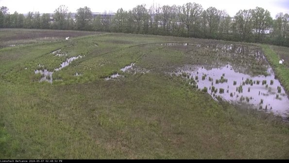 Cell 3_24-05-07_14-48-53-35