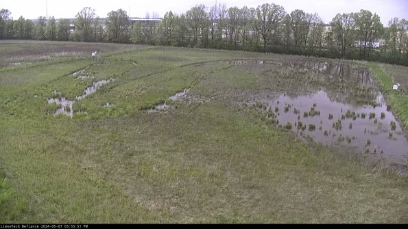 Cell 3_24-05-07_15-55-52-33