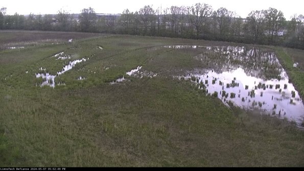 Cell 3_24-05-07_17-02-50-34