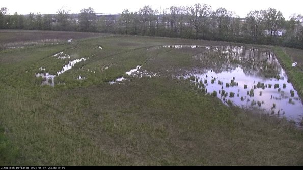 Cell 3_24-05-07_17-36-20-32