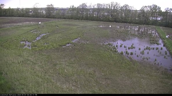 Cell 3_24-05-07_18-43-17-59