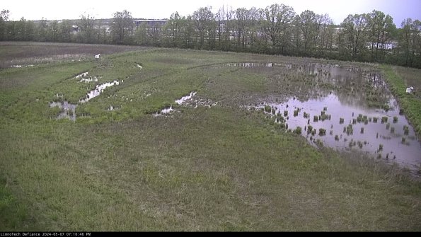 Cell 3_24-05-07_19-16-47-32