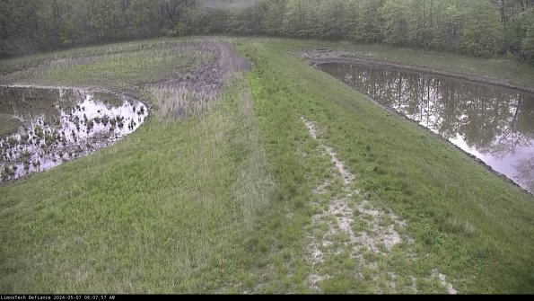 Cell 4 to Basin_24-05-07_08-07-58-34