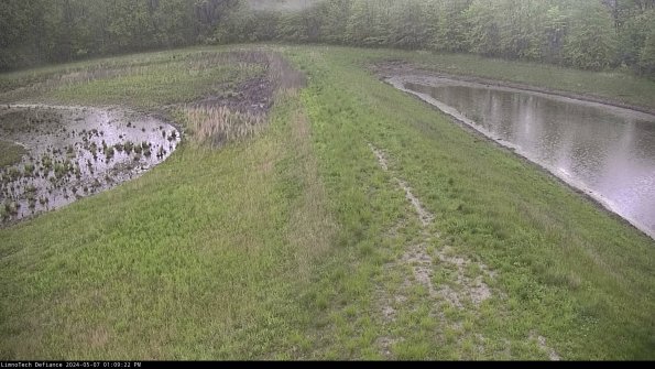 Cell 4 to Basin_24-05-07_13-09-23-35