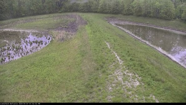 Cell 4 to Basin_24-05-07_13-42-53-34