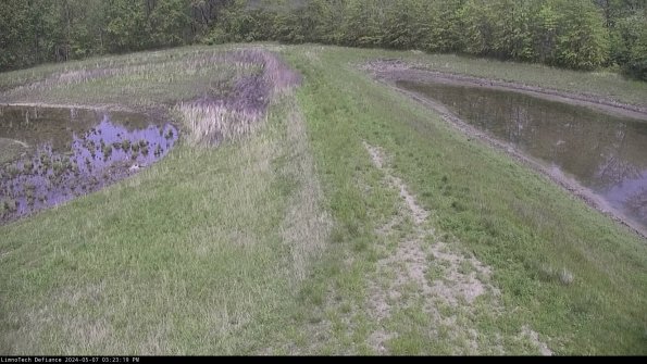 Cell 4 to Basin_24-05-07_15-23-20-33