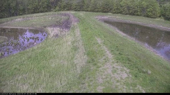 Cell 4 to Basin_24-05-07_16-30-18-34