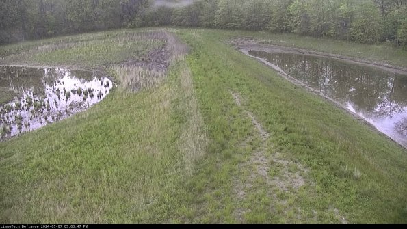 Cell 4 to Basin_24-05-07_17-03-48-33