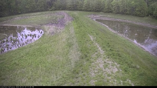 Cell 4 to Basin_24-05-07_19-17-45-31