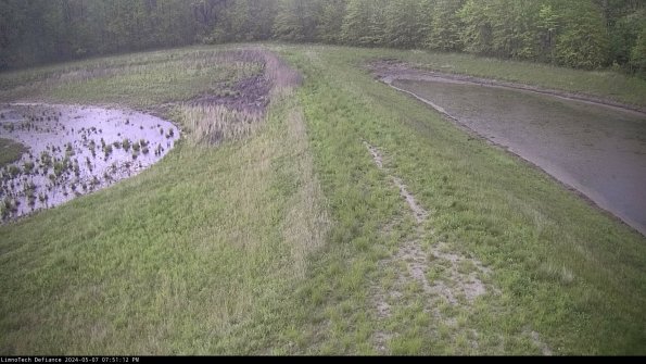 Cell 4 to Basin_24-05-07_19-51-13-33