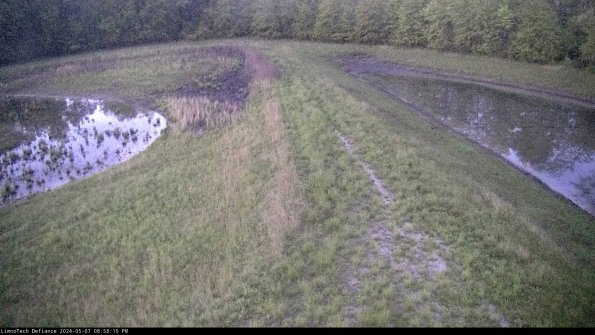 Cell 4 to Basin_24-05-07_20-58-11-33