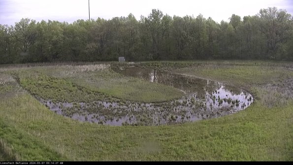 Cell 4_24-05-07_09-14-28-31