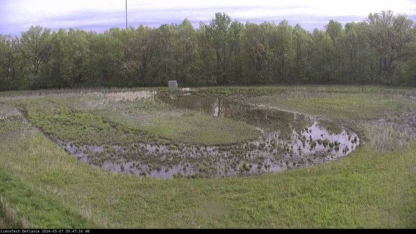 Cell 4_24-05-07_09-47-57-33