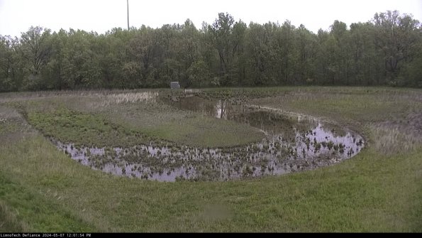 Cell 4_24-05-07_12-01-55-31