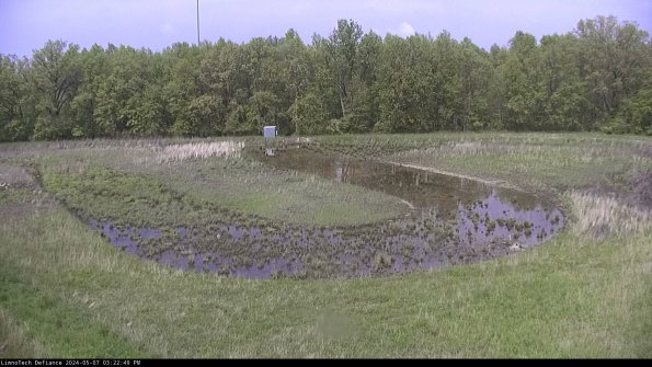 Cell 4_24-05-07_15-22-50-33