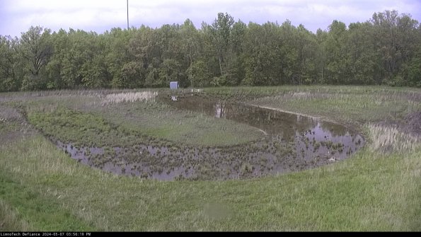 Cell 4_24-05-07_15-56-20-36