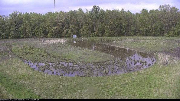 Cell 4_24-05-07_16-29-48-34