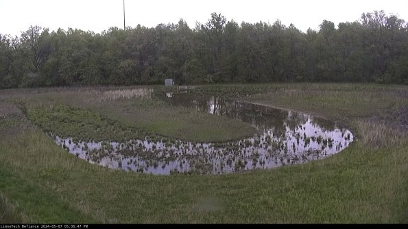 Cell 4_24-05-07_17-36-48-32