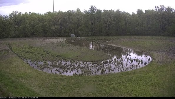 Cell 4_24-05-07_18-43-45-32