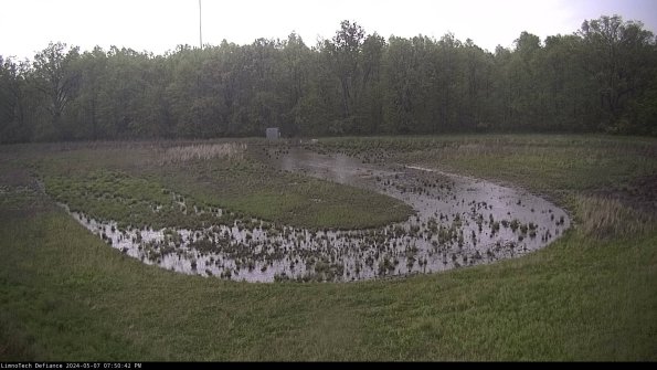 Cell 4_24-05-07_19-50-43-30