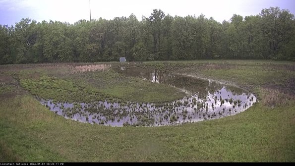 Cell 4_24-05-07_20-24-12-31